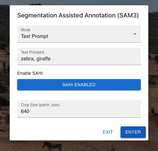 SAM3 Text Prompt