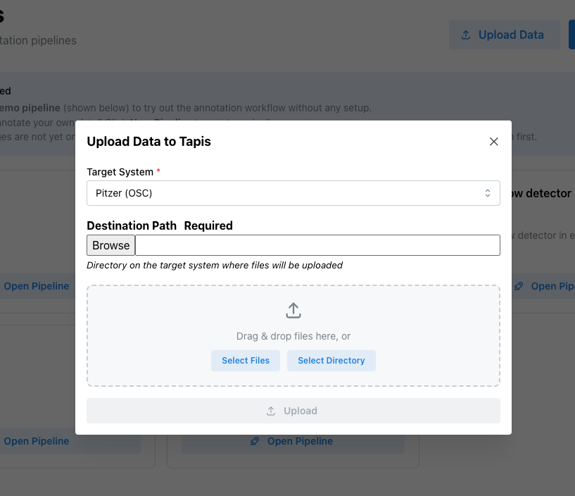 Upload Files