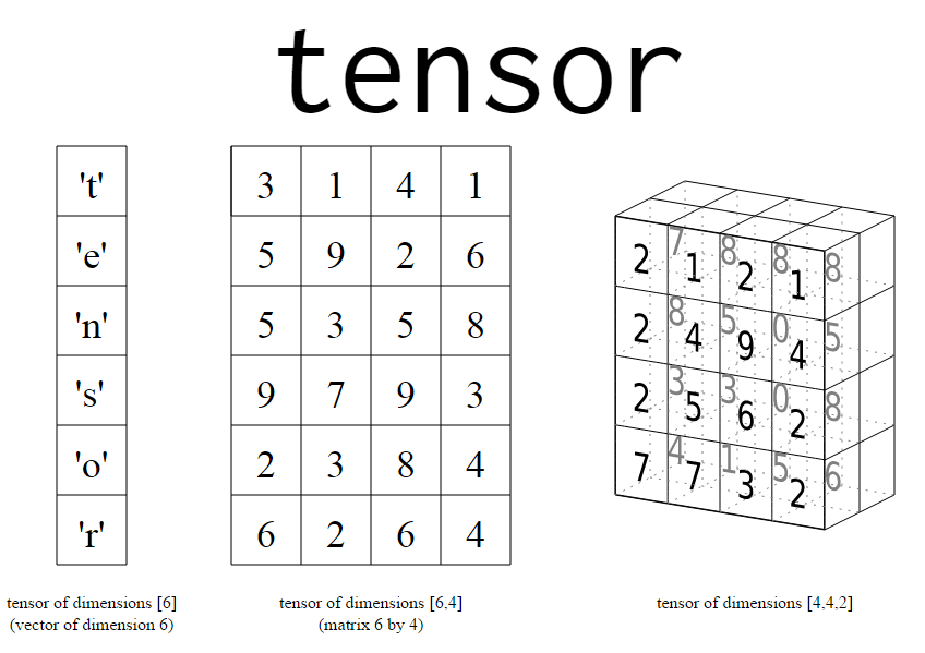 neural network