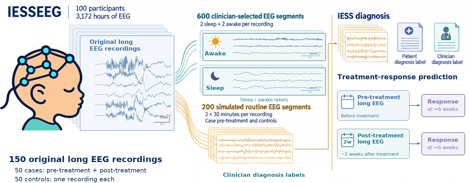 IESSEEG recordings, EEG subsets, and benchmark tasks