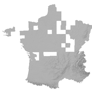 Cartes.gouv