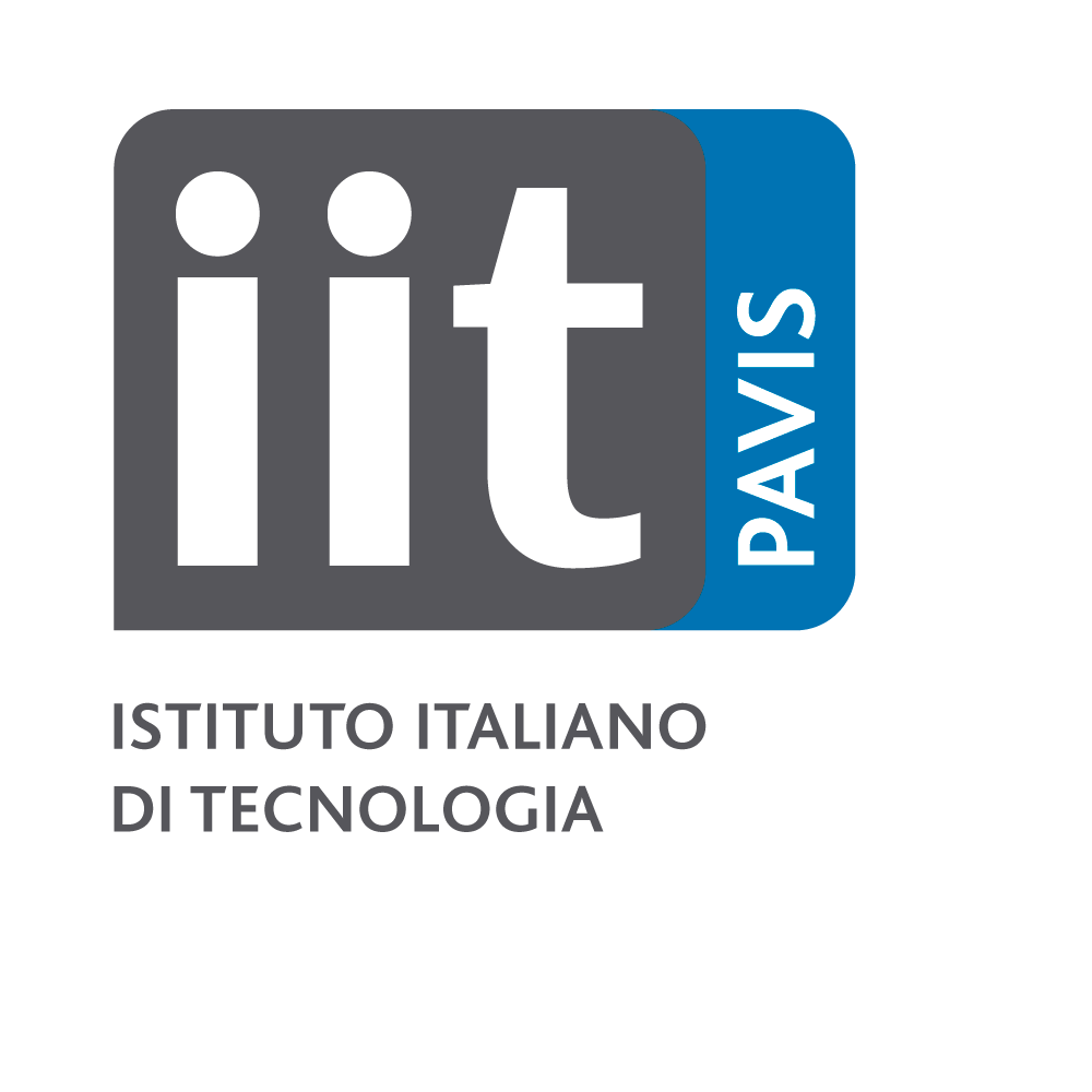 iit-pavis-logo