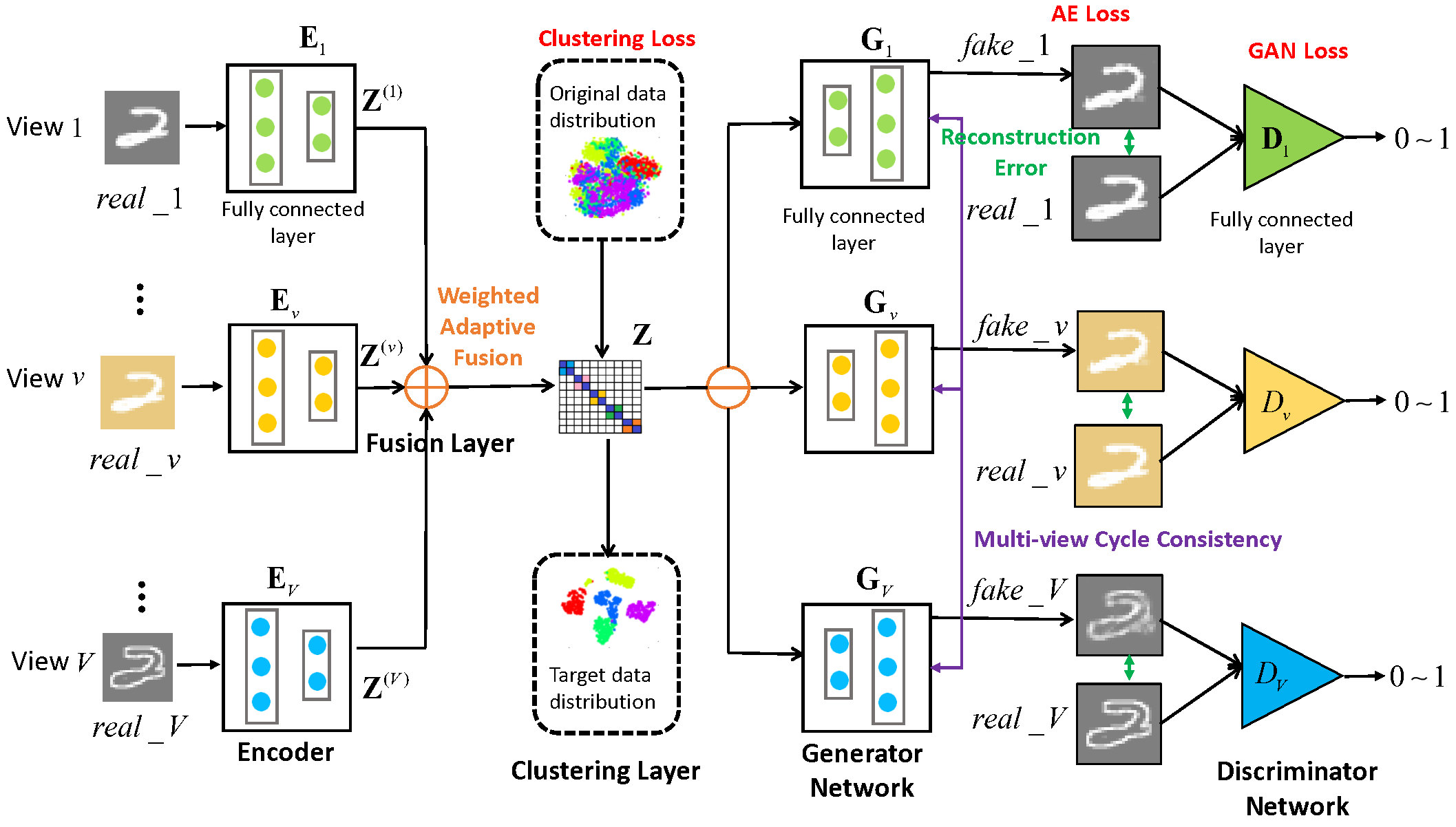 Network Model