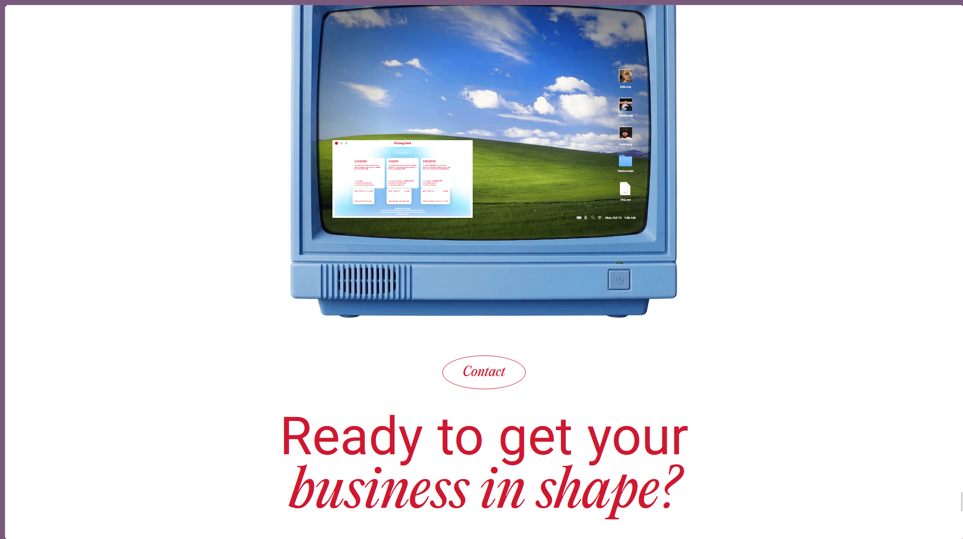 NEUTOMNI rehost — Win-95 desktop with the pricing TV