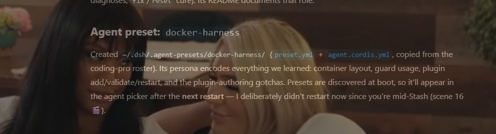 Video player mid-Stash