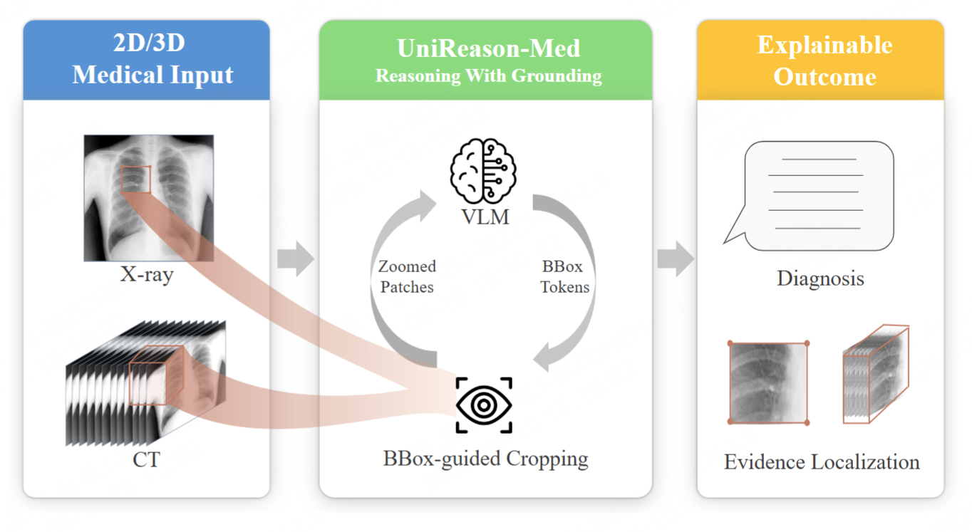 UniReason-Med overview, part 1