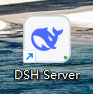 Desktop entry named DSH Server