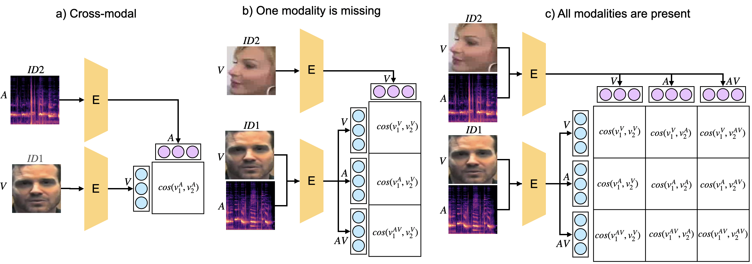 One Model to Rule Them All: Unified Transformer for Biometric Matching