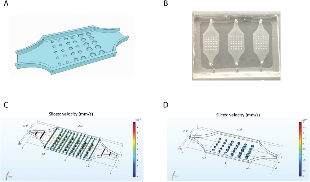 A Microfluidic Tumor‐on‐a‐Chip for Assessing Multifunctional Liposomes' Tumor Targeting and Anticancer Efficacy