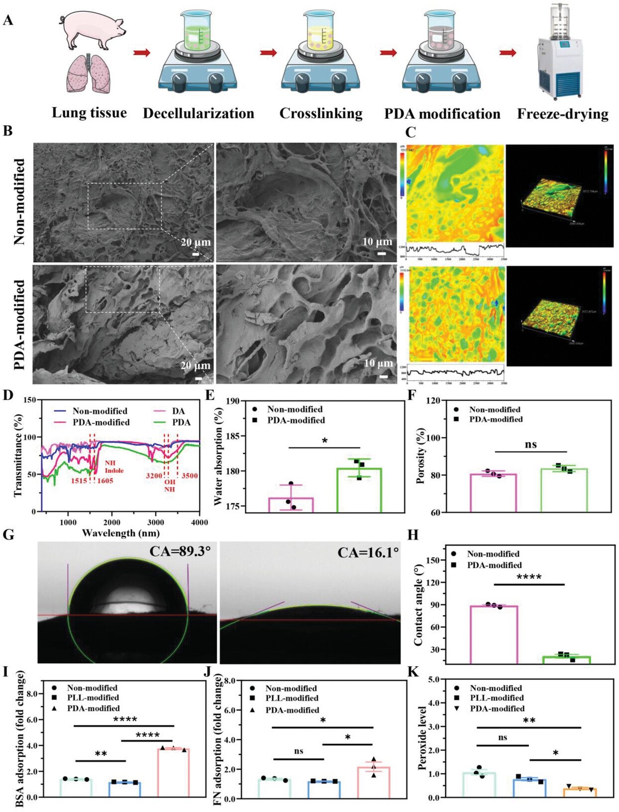 A PDA-Functionalized 3D Lung Scaffold Bioplatform to Construct Complicated Breast Tumor Microenvironment for Anticancer Drug Screening and Immunotherapy