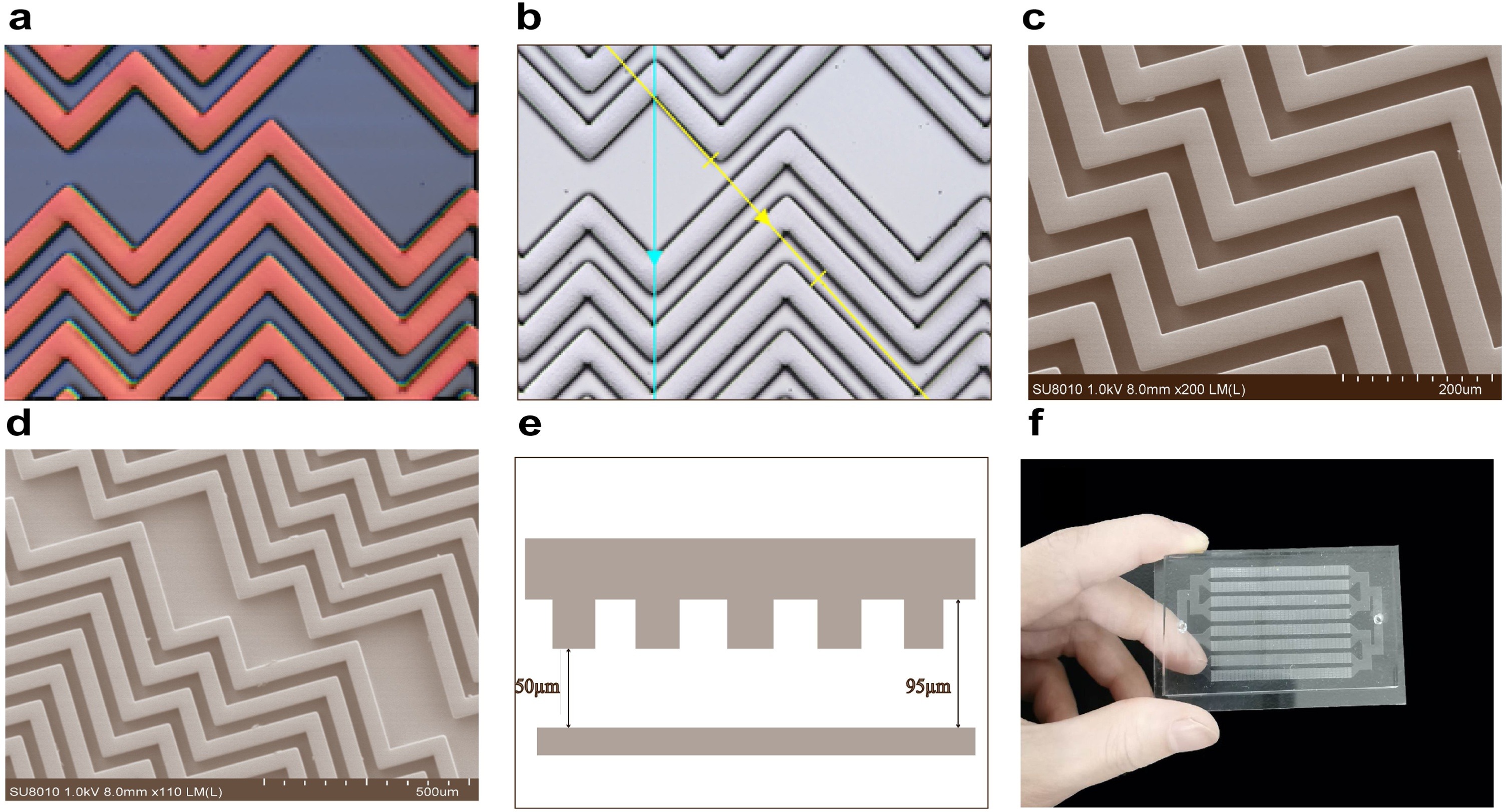 A herringbone mixer based microfluidic device HBEXO-chip for purifying tumor-derived exosomes and establishing miRNA signature in pancreatic cancer