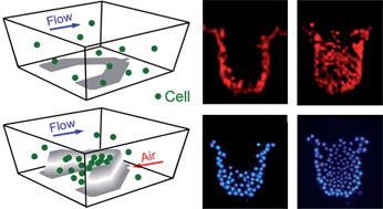 Dynamic trapping and high-throughput patterning of cells using pneumatic microstructures in an integrated microfluidic device