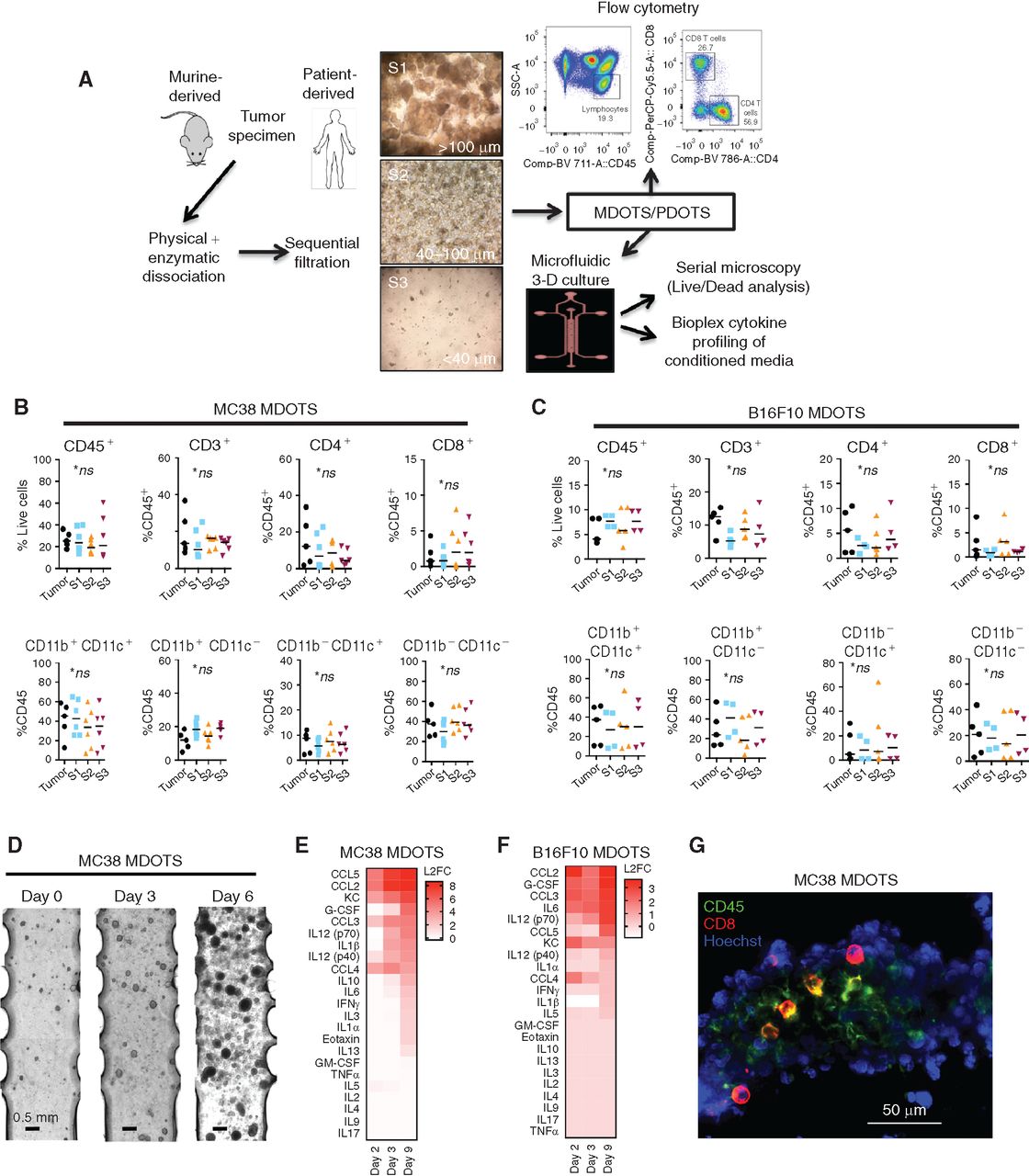 Ex Vivo Profiling of PD-1 Blockade Using Organotypic Tumor Spheroids