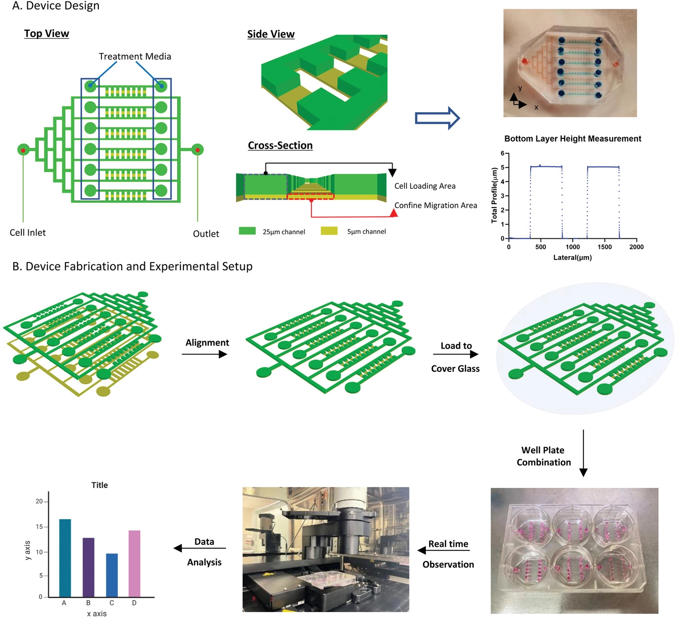 High Throughput Confined Migration Microfluidic Device for Drug Screening