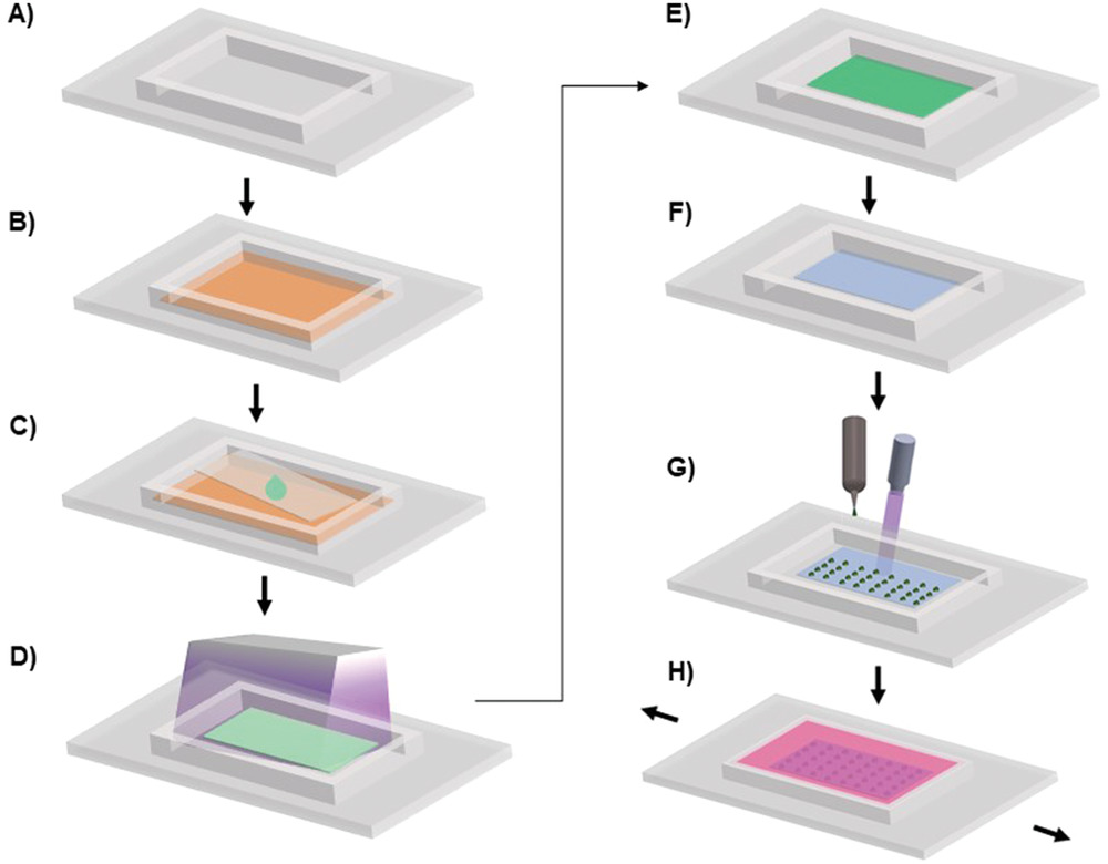 High Throughput Screening of Cell Mechanical Response Using a Stretchable 3D Cellular Microarray Platform