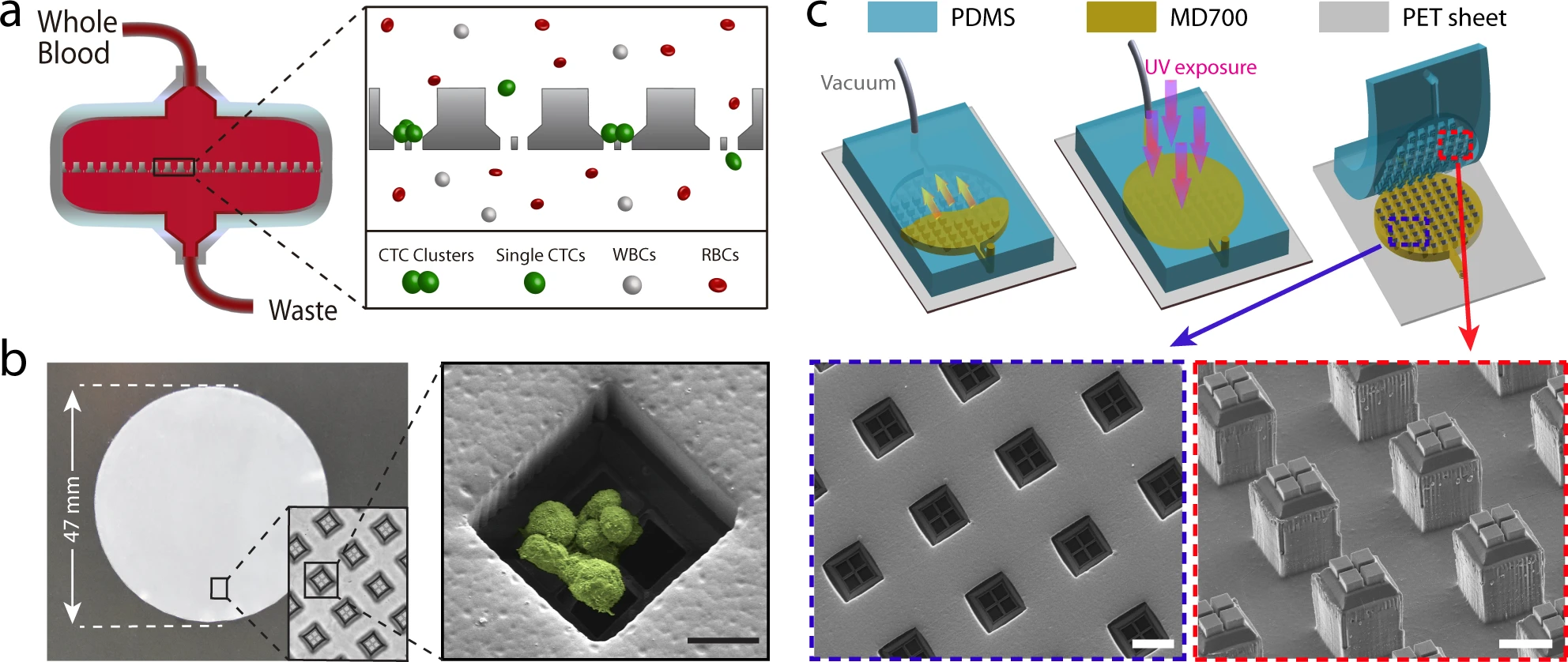 High throughput, label-free isolation of circulating tumor cell clusters in meshed microwells