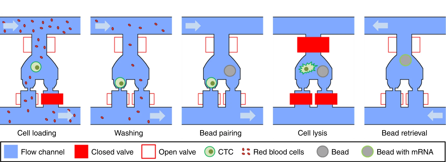 Hydro-Seq enables contamination-free high-throughput single-cell RNA-sequencing for circulating tumor cells