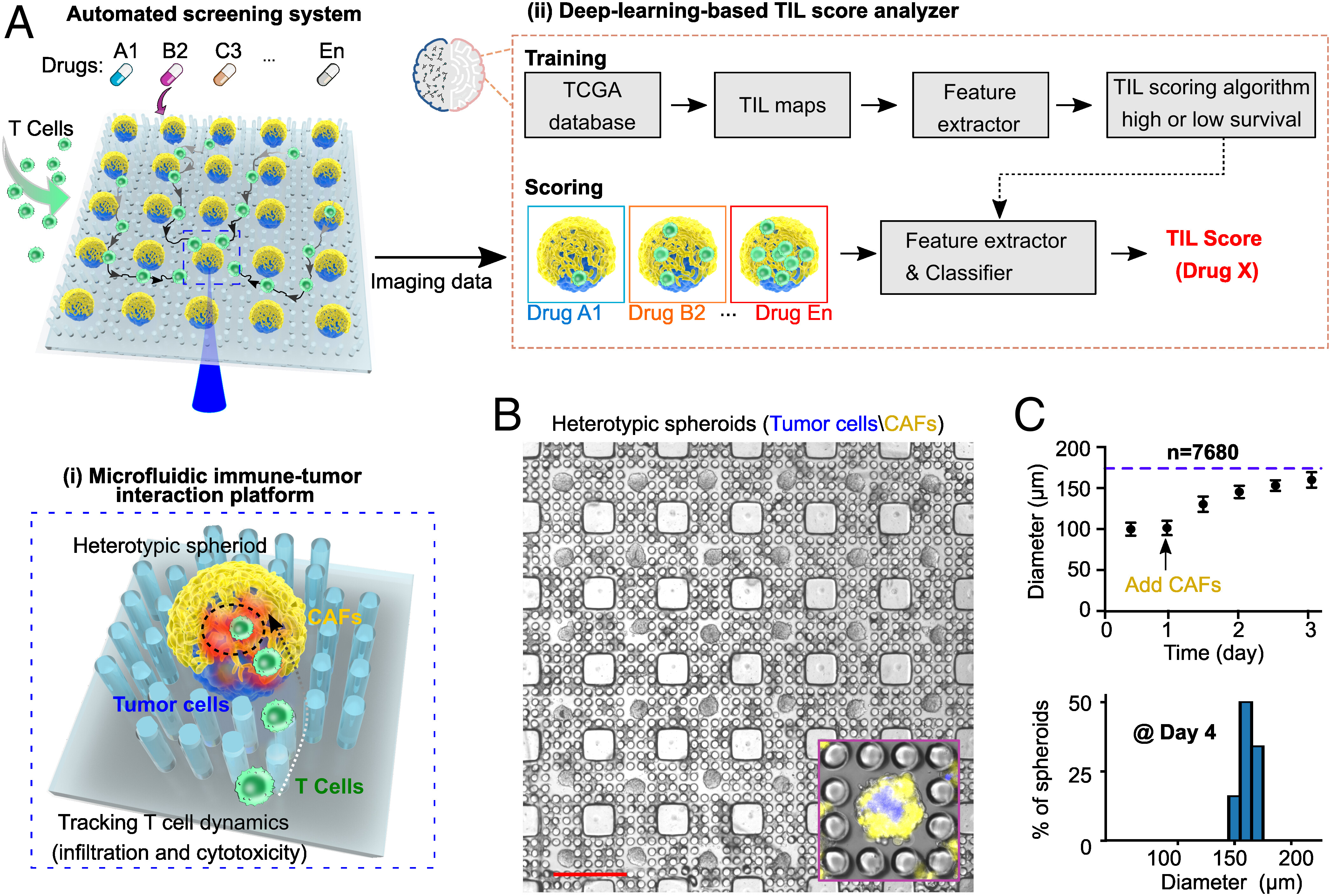 Microfluidics guided by deep learning for cancer immunotherapy screening