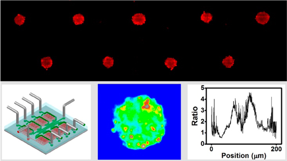 Monitoring Tumor Response to Anticancer Drugs Using Stable Three-Dimensional Culture in a Recyclable Microfluidic Platform