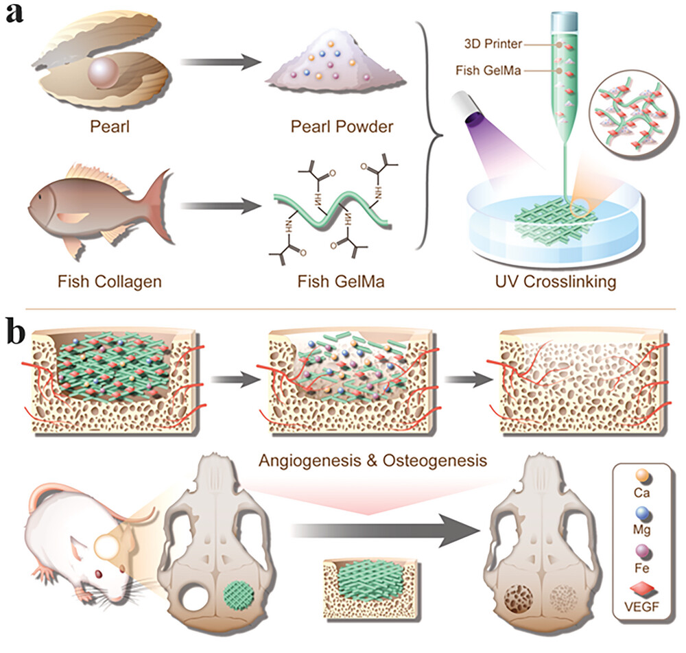 Pearl Powder Hybrid Bioactive Scaffolds from Microfluidic 3D Printing for Bone Regeneration