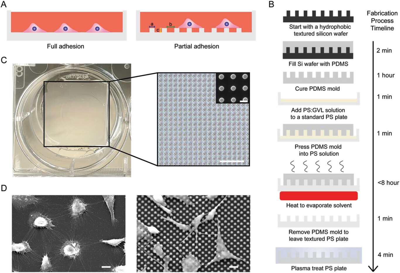 Reducing Cancer Cell Adhesion using Microtextured Surfaces