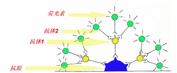 Review of 3D‐Printed Soft Lithography for Complex Compartmentalized Microfluidic Neural Devices