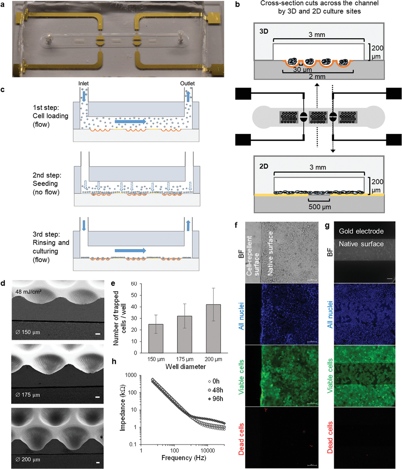 Simultaneous Culturing of Cell Monolayers and Spheroids on a Single Microfluidic Device for Bridging the Gap between 2D and 3D Cell Assays in Drug Research