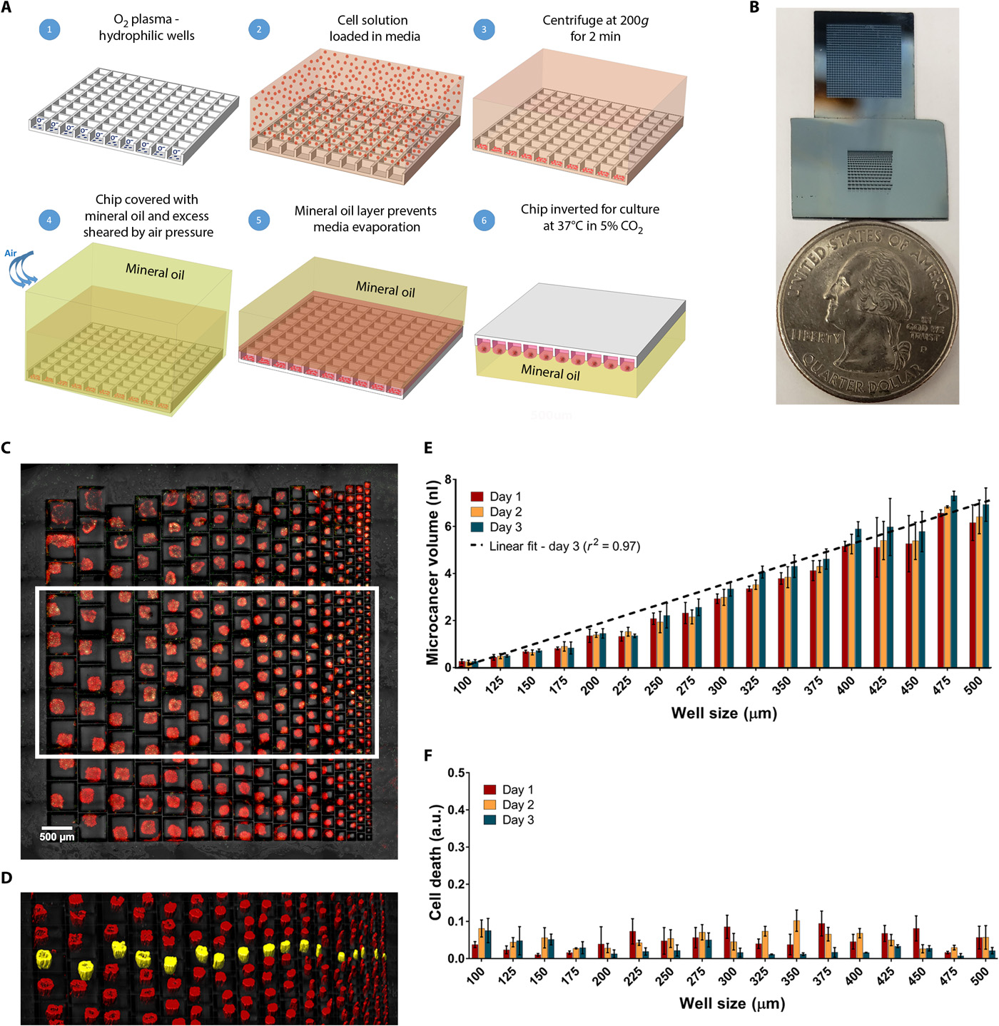 Three-dimensional microscale hanging drop arrays with geometric control for drug screening and live tissue imaging