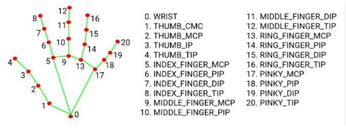 Hand Landmarks