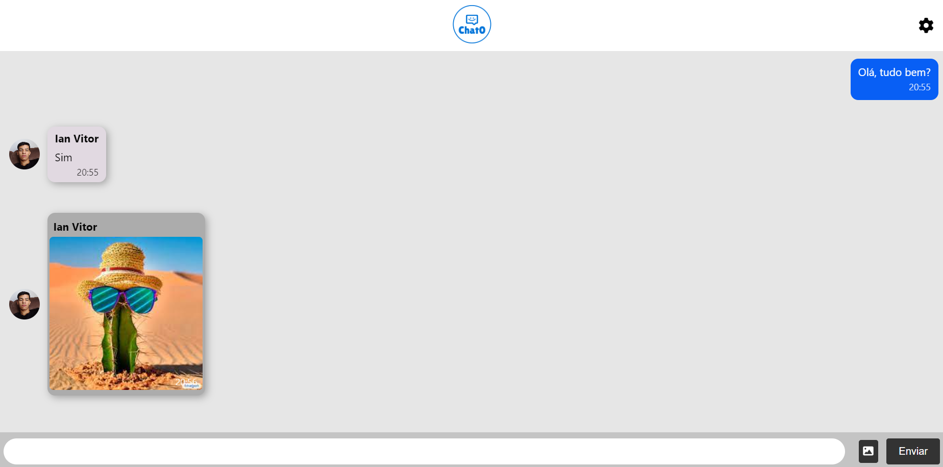 imagem interface chat