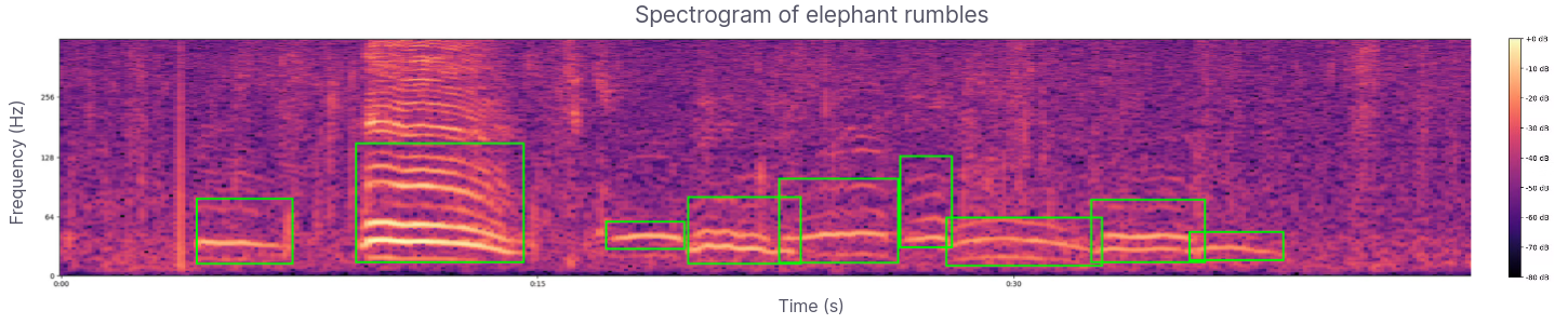 Elephant rumbles