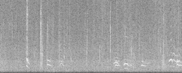 Spectrogram 2