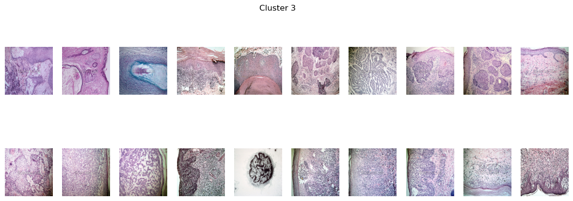 Contaminated Cluster