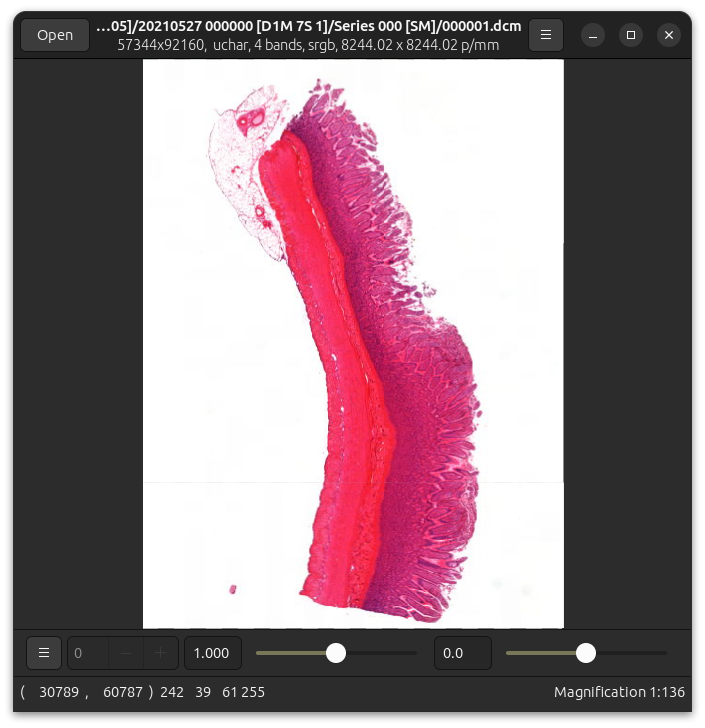 A DICOM WSI being viewed via OpenSlide 4.0