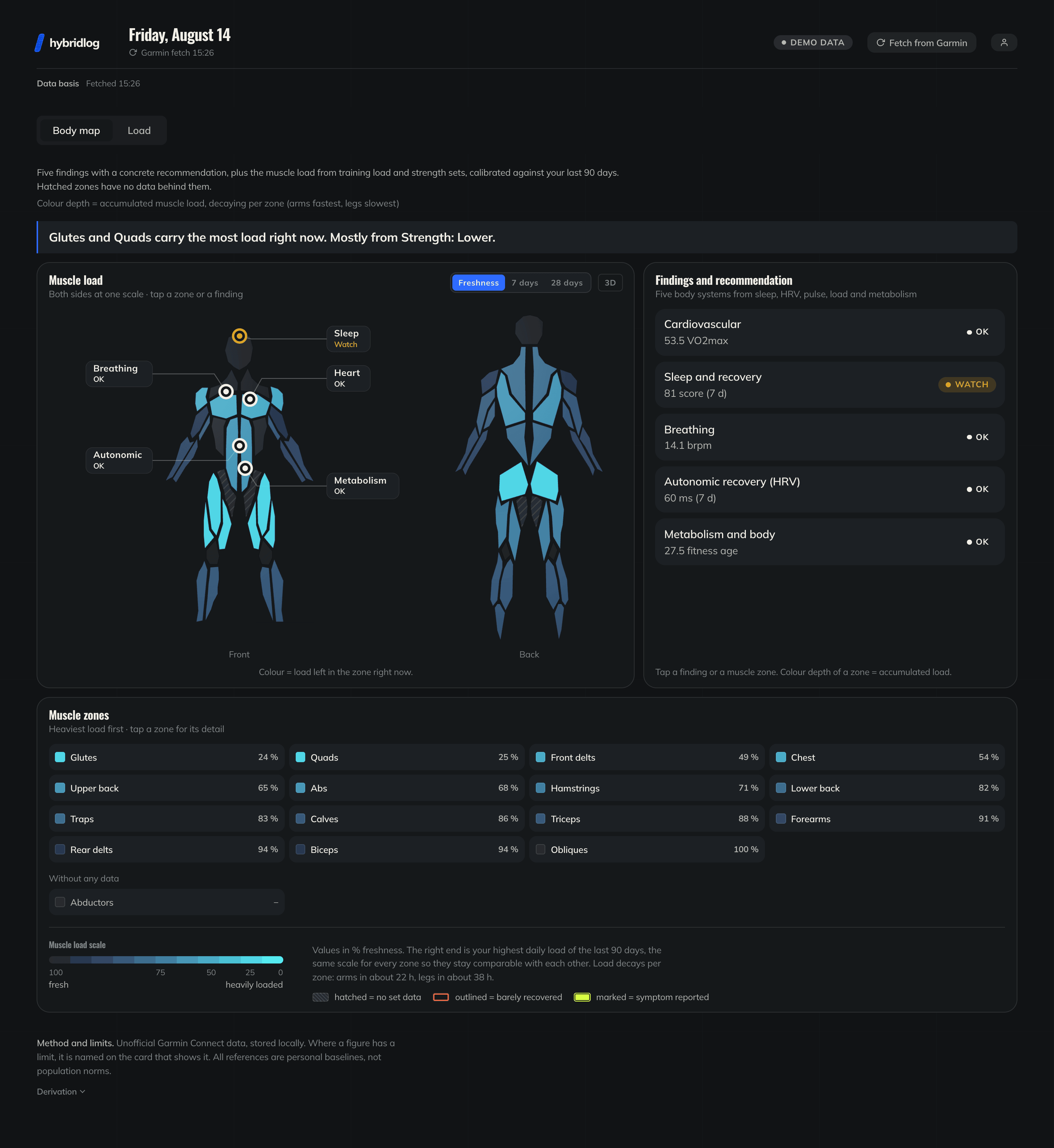 A muscle map with per-zone load and its findings beside it, one tab away from the training-load view