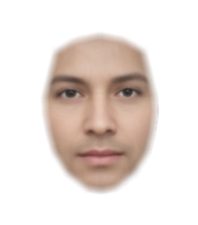 averaged male face