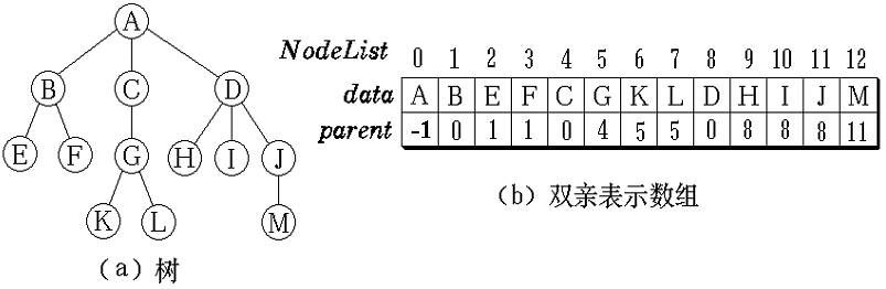 双亲表示法