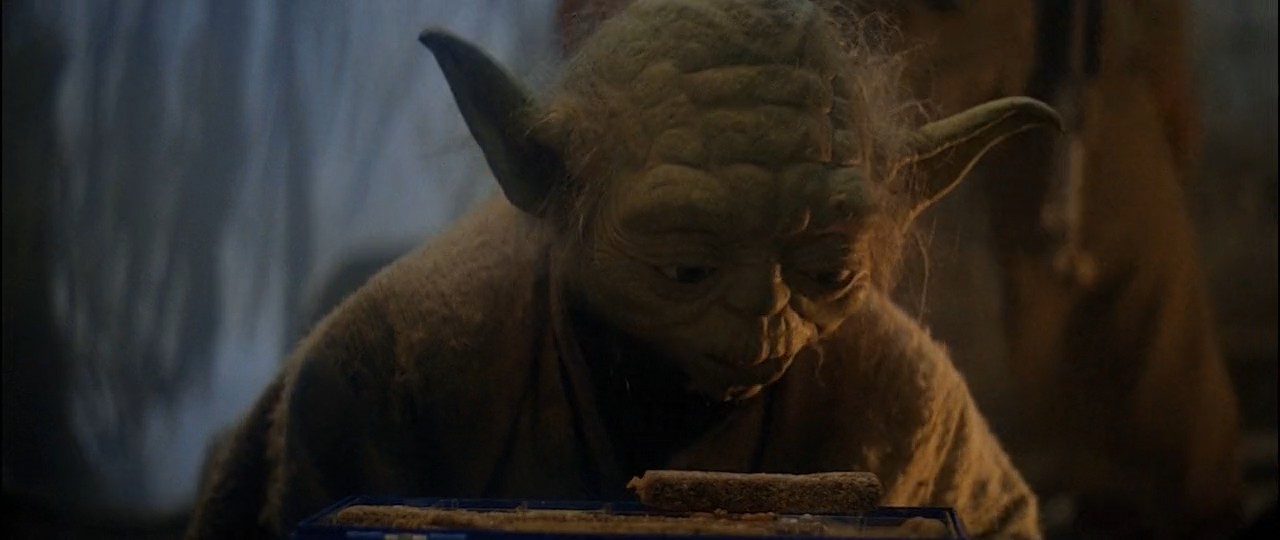 Yoda looks at a frozen space burrito.