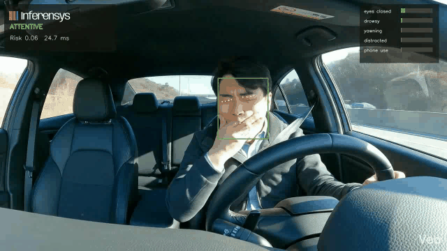 AI Driver Safety real human demo