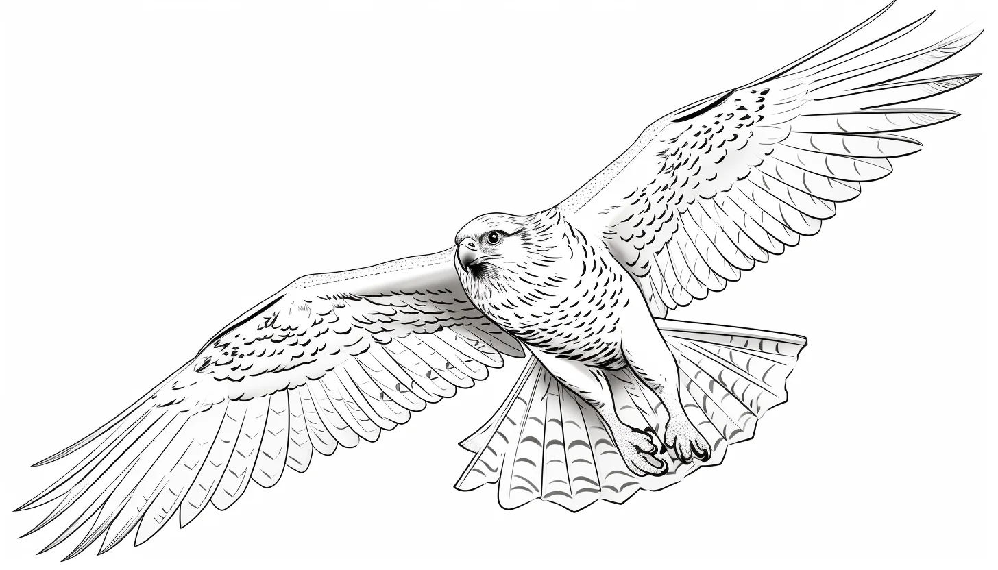 Peregrine Falcon - SMART for Decision-Makers