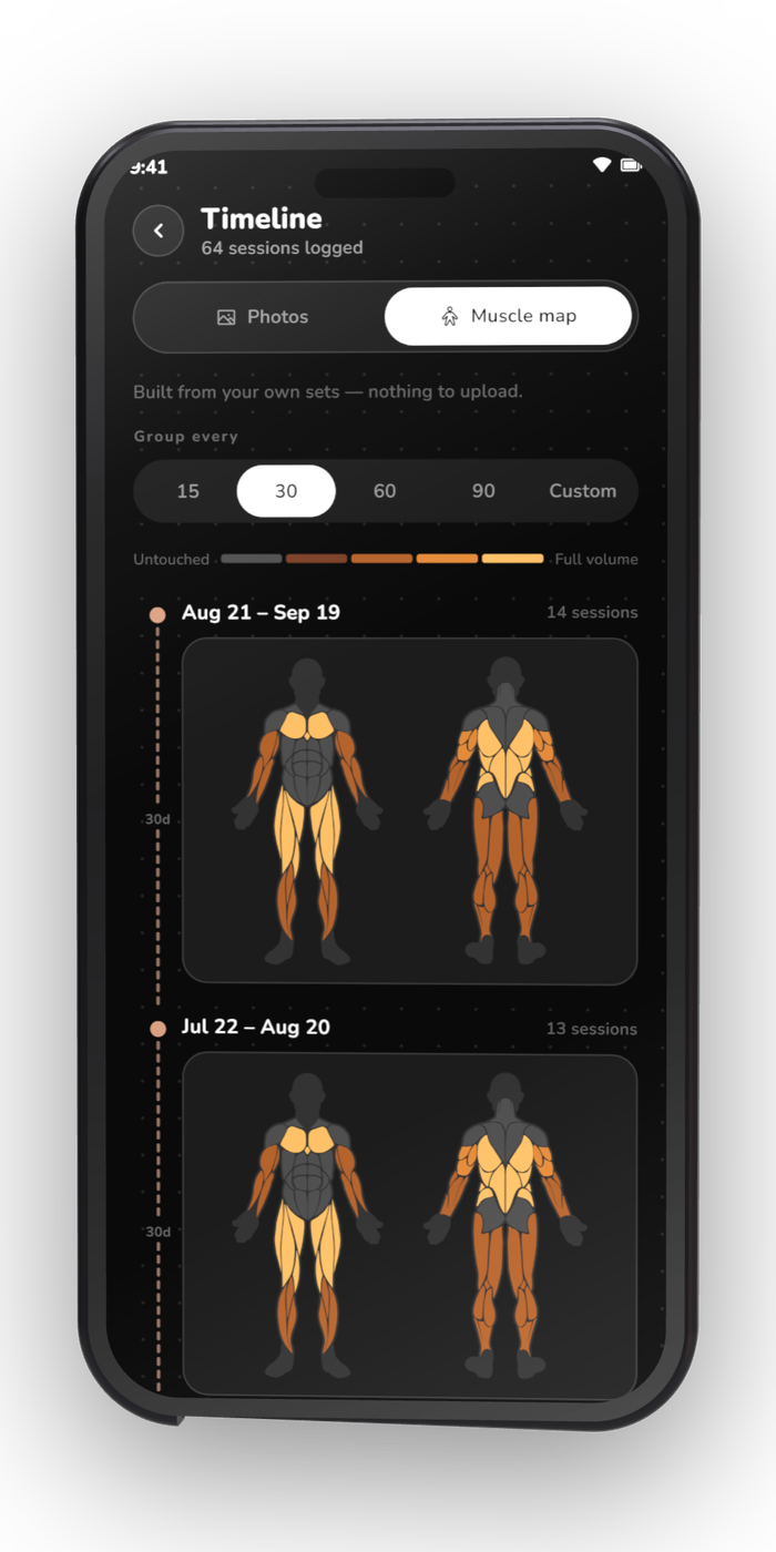 Muscle timeline