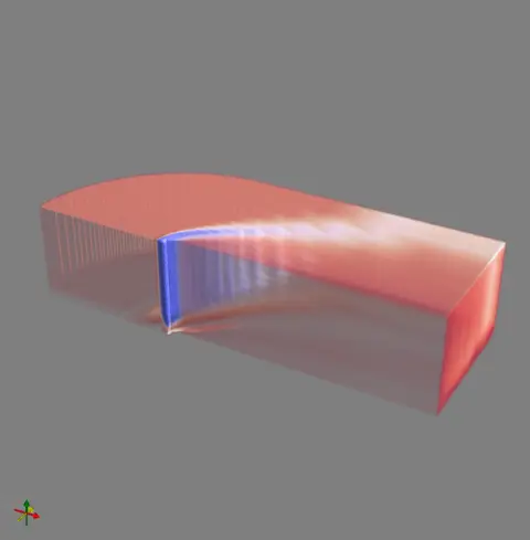 blunt_fin