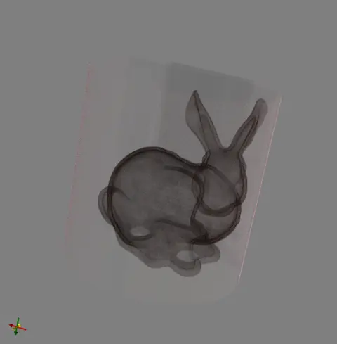 bunny