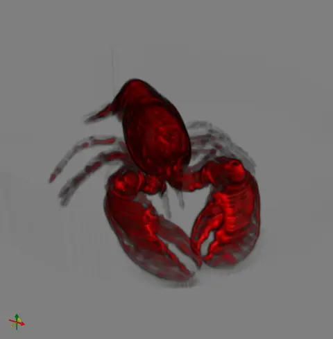 lobster