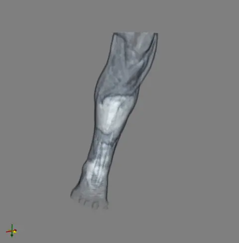 statue_leg