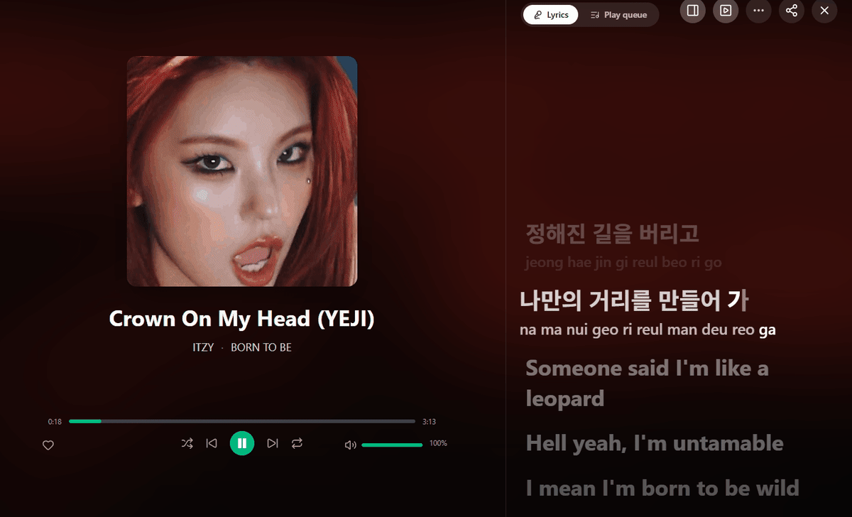 The immersive view: a track's Canvas clip looping beside lyrics synced word by word, with a romanization under each line