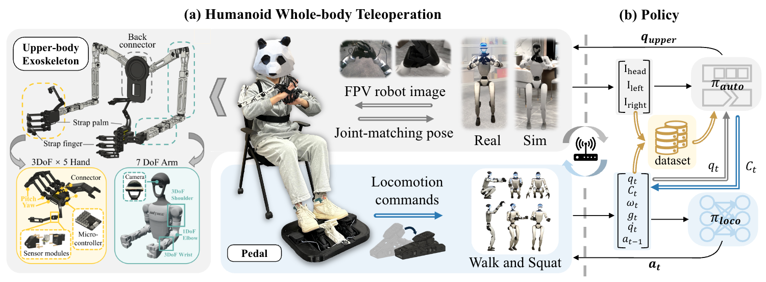 Scale 20 người và eval whole-body VLA