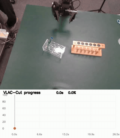 Tube rollout with VLAC-Cut progress