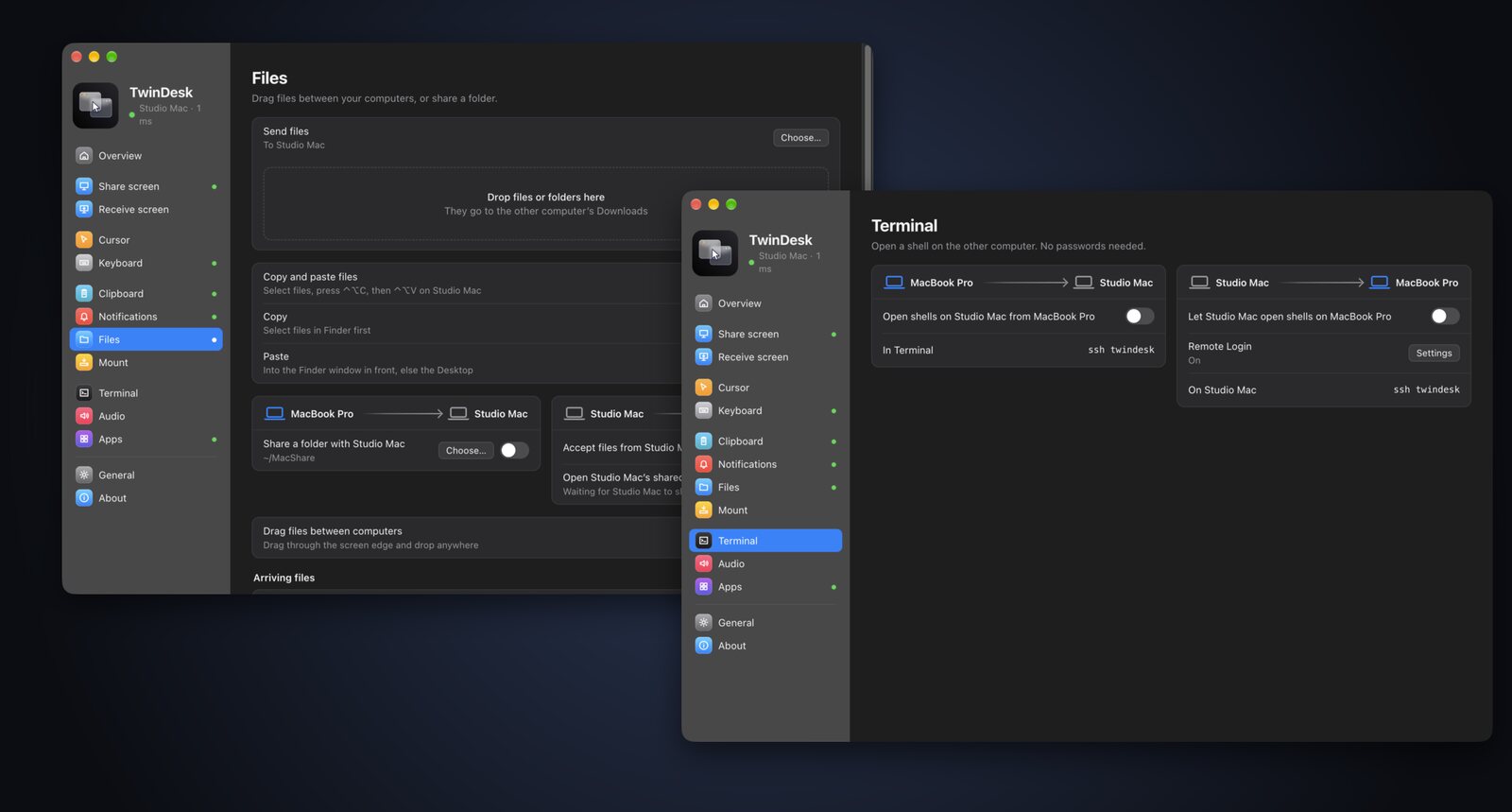 The Files page and the Terminal page