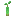 mangrove_propagule.png